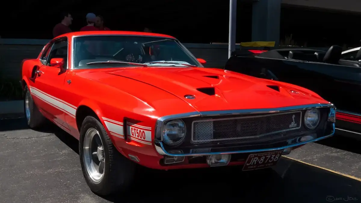 Emily Compagno Car Collection 1