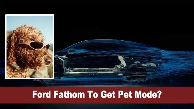 Ford Fathom To Get Pet Mode: New Social Media Post 1